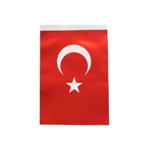 Inter B-005 Türk Bayrağı 60x90cm