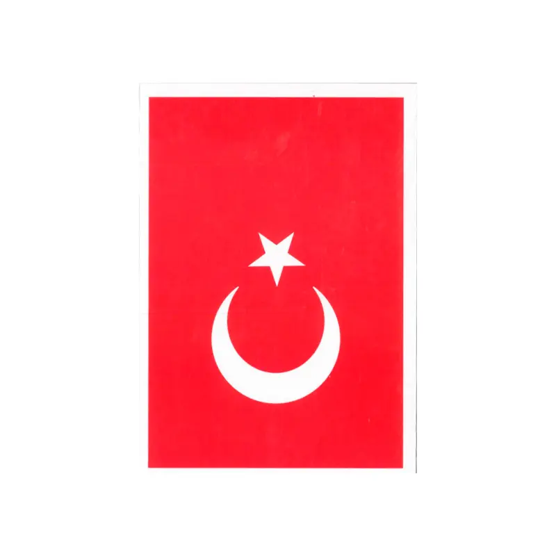 Seven Büyük Bayrak Çıkartma 13x18cm 10 Lu Poşet