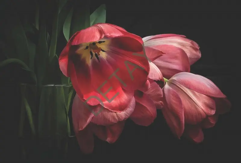 Rölyef Poster Baskı Kağıt Boyutu: 33x48cm 300 Gr. Kuşe Kagıt 10 Adet