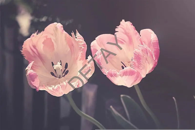 Rölyef Poster Baskı Kağıt Boyutu: 33x48cm300 Gr. Kuşe Kagıt 10 Adet