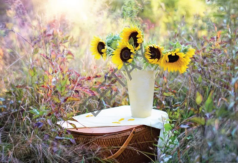 Rölyef Poster Baskı Kağıt Boyutu: 33x48cm 300 Gr. Kuşe Kagıt 10 Adet