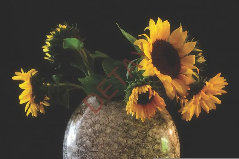 Rölyef Poster Baskı Kağıt Boyutu: 33x48cm 300 Gr. Kuşe Kagıt 10 Adet