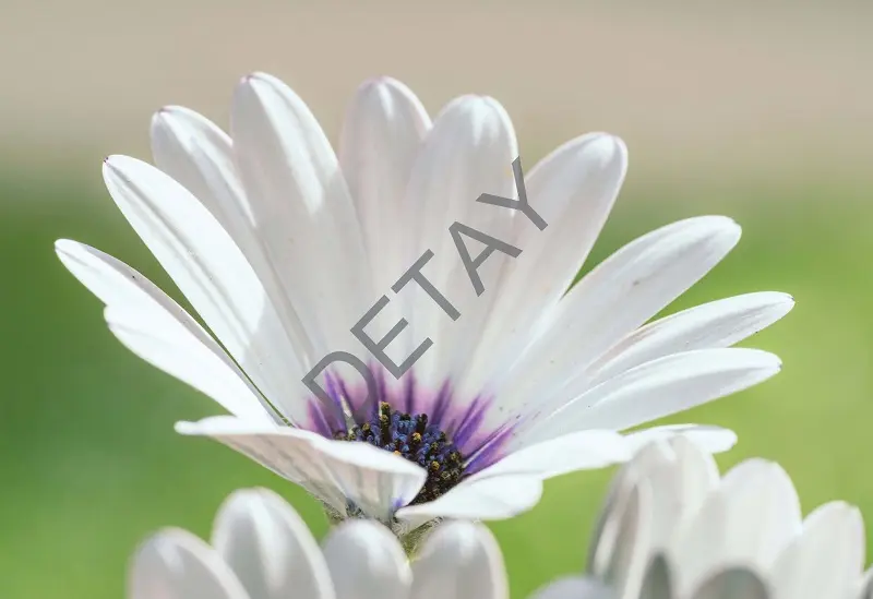 Rölyef Poster Baskı Kağıt Boyutu: 33x48cm 300 Gr. Kuşe Kagıt 10 Adet