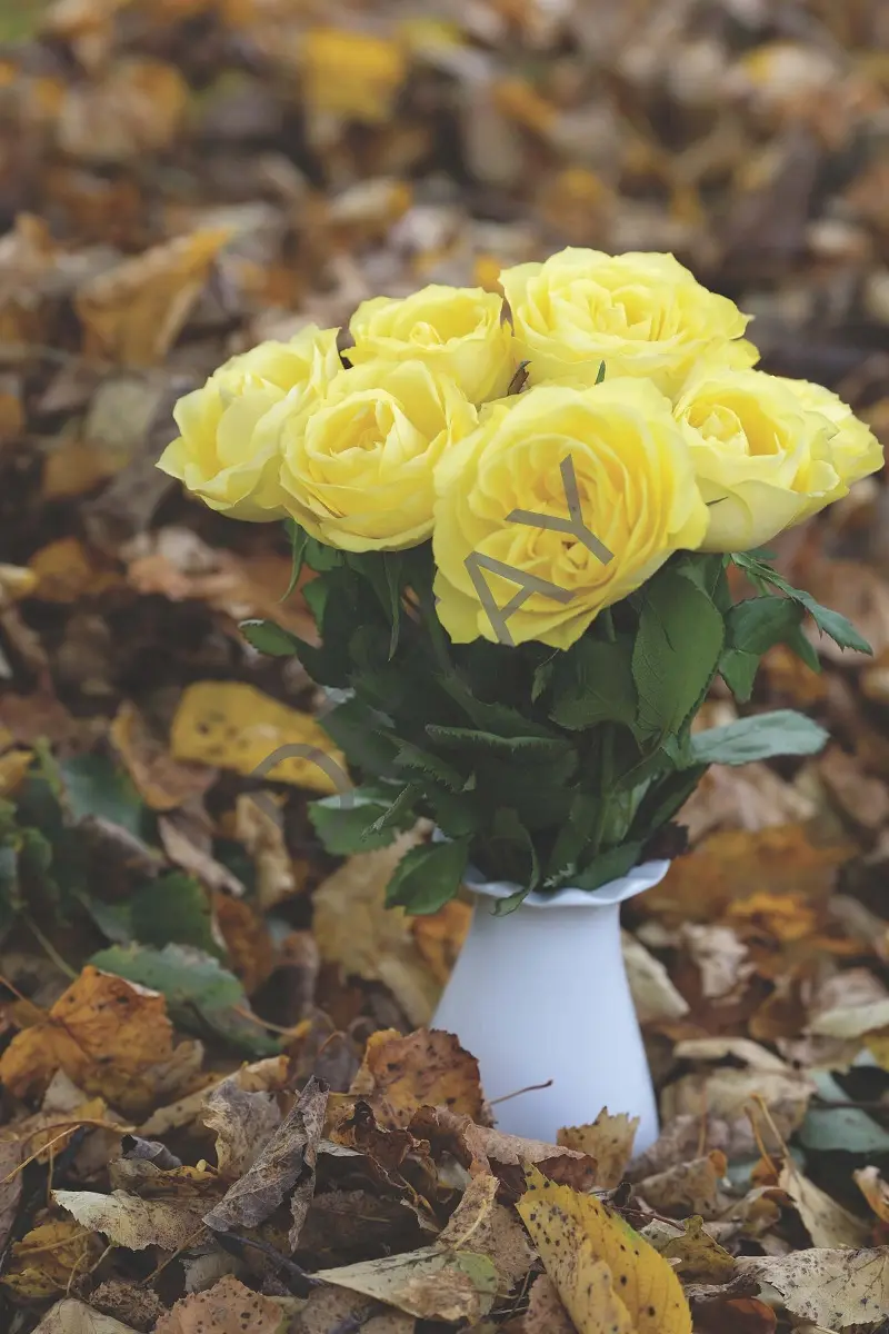 Rölyef Poster Baskı Kağıt Boyutu: 33x48cm 300 Gr. Kuşe Kagıt 10 Adet