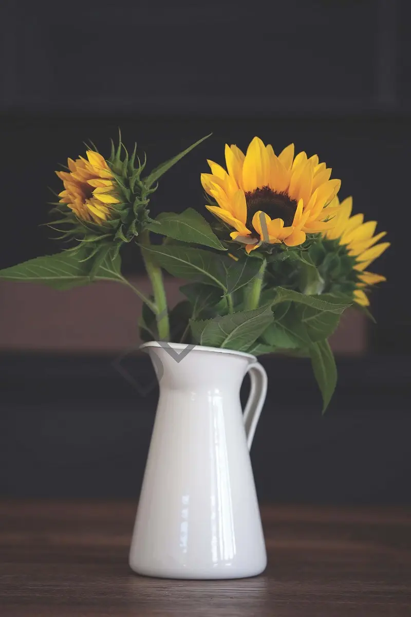 Rölyef Poster Baskı Kağıt Boyutu: 33x48cm 300 Gr. Kuşe Kagıt 10 Adet