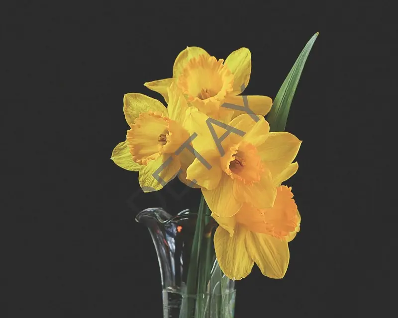 Rölyef Poster Baskı Kağıt Boyutu: 33x48cm 300 Gr. Kuşe Kagıt 10 Adet