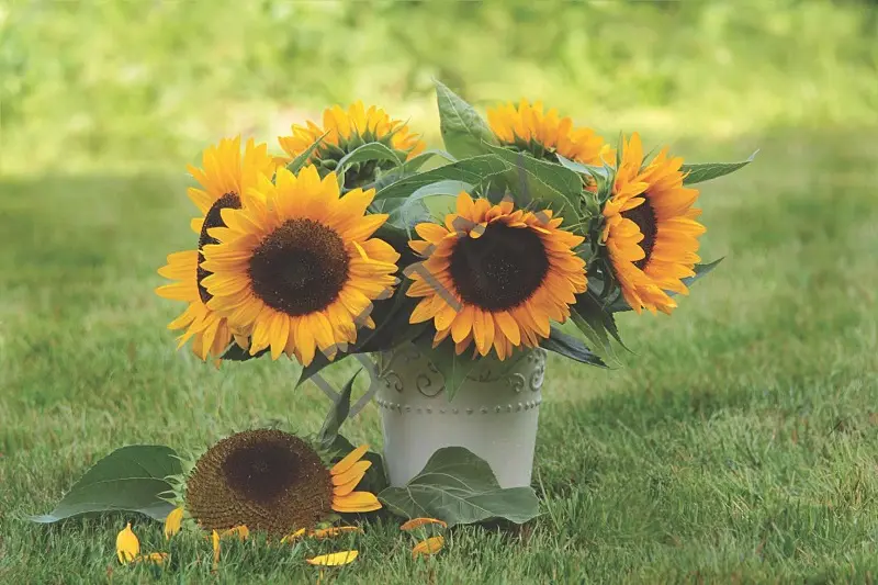 Rölyef Poster Baskı Kağıt Boyutu: 33x48cm 300 Gr. Kuşe Kagıt 10 Adet