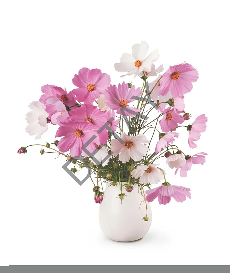 Rölyef Poster Baskı Kağıt Boyutu: 33x48cm 300 Gr. Kuşe Kagıt 10 Adet