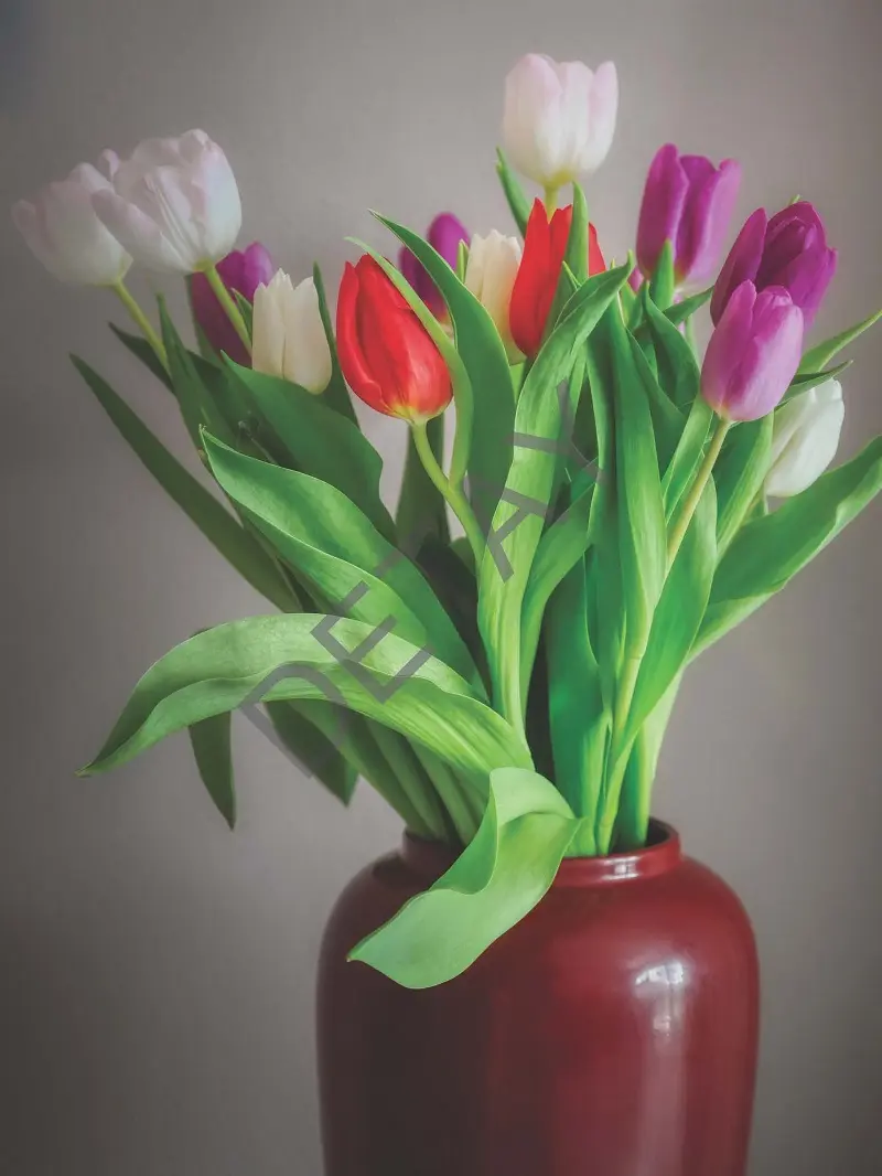 Rölyef Poster Baskı Kağıt Boyutu: 33x48cm 300 Gr. Kuşe Kagıt 10 Adet