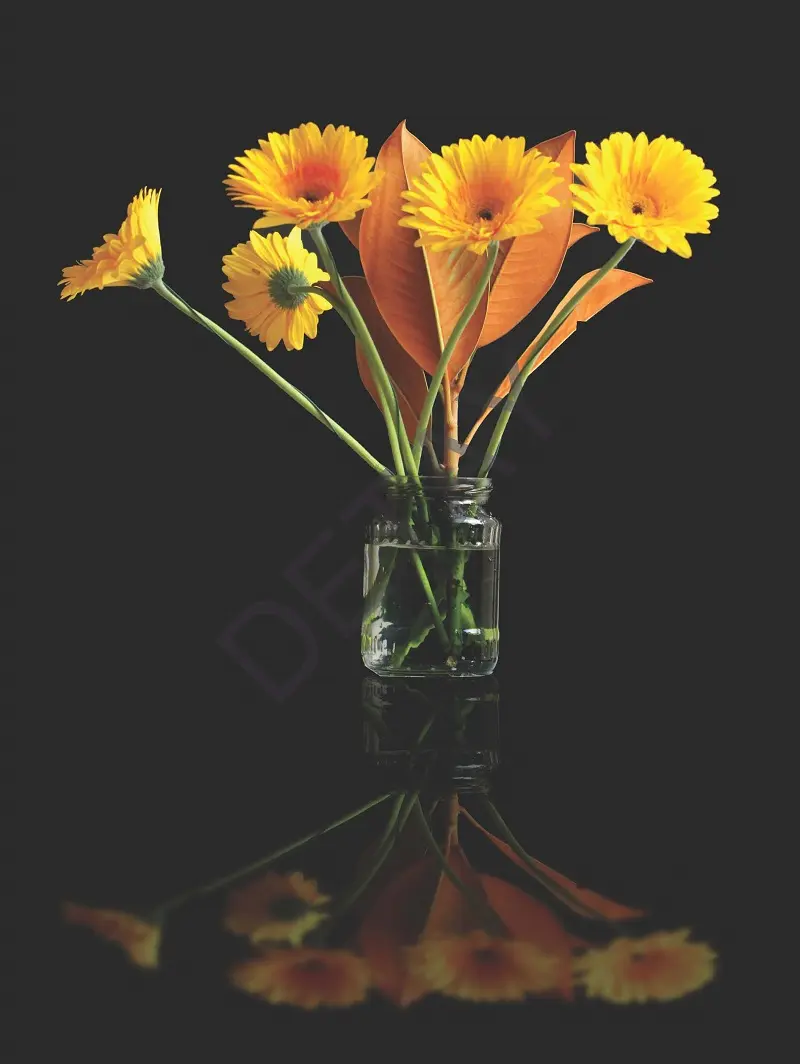 Rölyef Poster Baskı Kağıt Boyutu: 33x48cm 300 Gr. Kuşe Kagıt 10 Adet