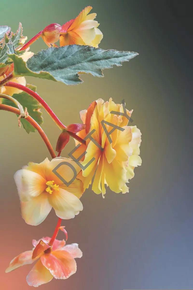 Rölyef Poster Baskı Kağıt Boyutu: 33x48cm 300 Gr. Kuşe Kagıt 10 Adet