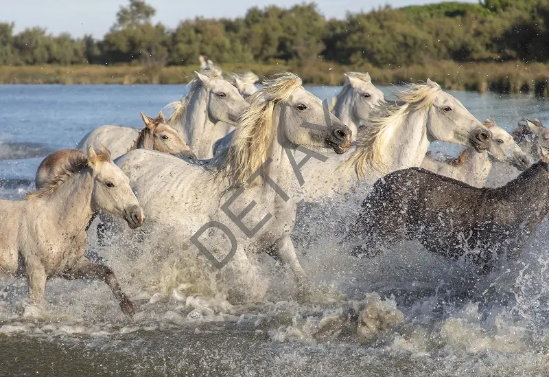 Rölyef Poster Baskı Kağıt Boyutu: 33x48cm 300 Gr. Kuşe Kagıt 10 Adet