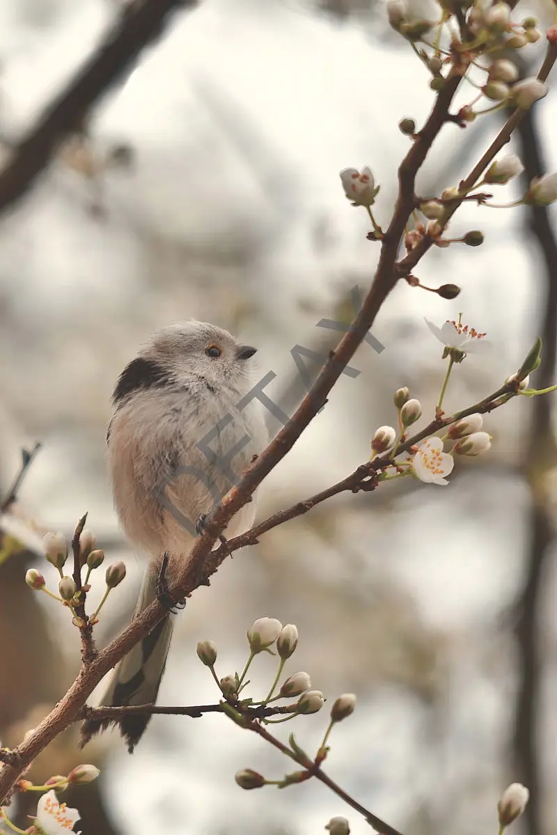 Rölyef Poster Baskı Kağıt Boyutu: 33x48cm 300 Gr. Kuşe Kagıt 10 Adet